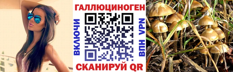 Купить закладки  Улан-Удэ  Галлюциногенные грибы MAGIC MUSHROOMS 